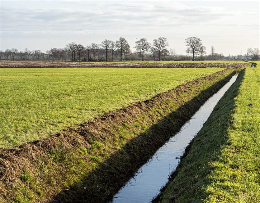 Kopanie i udrażnianie rowów melioracyjnych, Mateusz Beszczyński, Margonin